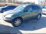 HONDA CR-V EX photo