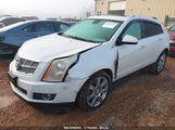 CADILLAC SRX PERFORMANCE COLLECTION 3GYFNBEY4BS600709 fotografie