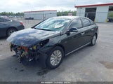 HYUNDAI SONATA HYBRID SE KMHE24L18HA****** снимка
