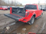 FORD F-150 FX4 1FTFX1ET8DF****** снимка
