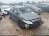 TOYOTA COROLLA LE 2T1BU4EE0AC369179 снимка