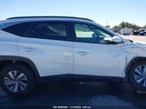 HYUNDAI TUCSON HYBRID BLUE KM8JBCD17RU213273 снимка