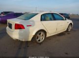 ACURA TL photo