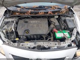 TOYOTA COROLLA LE 1NXBU4EE4AZ256883 снимка