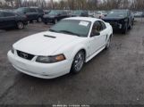 FORD MUSTANG photo