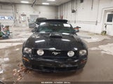 FORD MUSTANG GT DELUXE/GT PREMIUM 1ZVHT85H085148510 fotografie