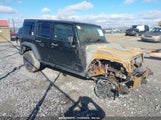 JEEP WRANGLER UNLIMITED WILLYS WHEELER 1C4BJWDG4GL203322 fotografie