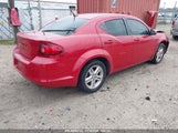 DODGE AVENGER MAINSTREET 1B3BD1FB0BN****** fotografie
