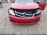 DODGE AVENGER MAINSTREET 1B3BD1FB0BN****** photo