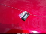 Miniaturka zdjęcia 11