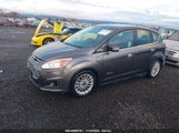 FORD C-MAX ENERGI SEL 1FADP5CU4FL****** fotografie