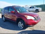 HONDA CR-V EX-L photo