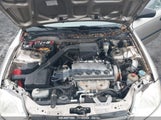 HONDA CIVIC LX 1HGEJ6676YL****** снимка
