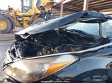HYUNDAI AZERA KMHFG4JG4DA250524 снимка
