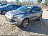 FORD ESCAPE TITANIUM снимка