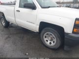 CHEVROLET SILVERADO 1500 WT photo