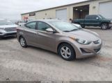 HYUNDAI ELANTRA SE photo