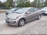 HYUNDAI ELANTRA SE photo