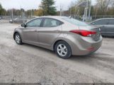 HYUNDAI ELANTRA SE photo