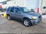 FORD ESCAPE XLT/XLT SPORT 1FMYU03107K****** photo
