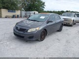 TOYOTA COROLLA LE 2T1BU4EE1AC534446 снимка