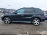 MERCEDES-BENZ ML 350 4MATIC photo