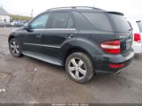 MERCEDES-BENZ ML 350 4MATIC photo