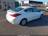 HYUNDAI ELANTRA SE photo