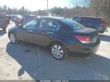 HONDA ACCORD 3.5 EX-L снимка