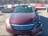 HONDA ACCORD 2.4 EX-L photo