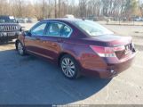 HONDA ACCORD 2.4 EX-L photo