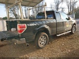 FORD F-150 STX/XL/XLT 1FTEX1E82AF****** fotografie