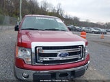 FORD F-150 XLT 1FTFW1EFXEF****** снимка