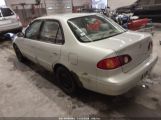 TOYOTA COROLLA LE photo