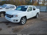 HONDA RIDGELINE RTL 5FPYK16529B****** снимка