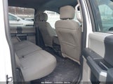 FORD F-150 XLT 1FTEW1E81HF****** снимка