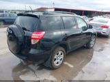 TOYOTA RAV4 photo