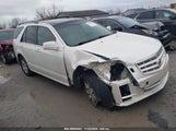 CADILLAC SRX V6 1GYEE437880****** fotografie