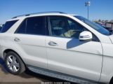 MERCEDES-BENZ ML 350 photo