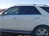 MERCEDES-BENZ ML 350 photo