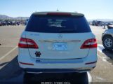 MERCEDES-BENZ ML 350 photo