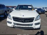 MERCEDES-BENZ ML 350 photo