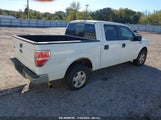 FORD F-150 XLT 1FTEW1CM0DF****** снимка