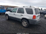 Ford Escape Xlt 1FMYU93105KA05917 снимка