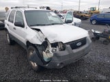 Ford Escape Xlt 1FMYU93105KA05917 снимка