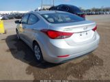 HYUNDAI ELANTRA SE photo