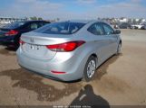 HYUNDAI ELANTRA SE photo