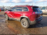 JEEP CHEROKEE TRAILHAWK 4X4 1C4PJMBX5MD193290 снимка