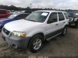 FORD ESCAPE XLT 1FMYU03Z87K****** снимка