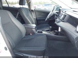 TOYOTA RAV4 LE 2T3BFREV9JW****** fotografie